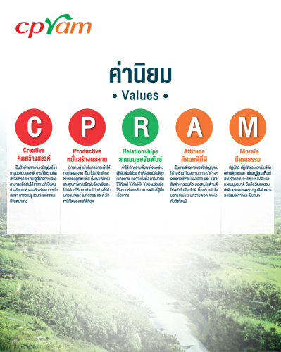 CPRAM Values